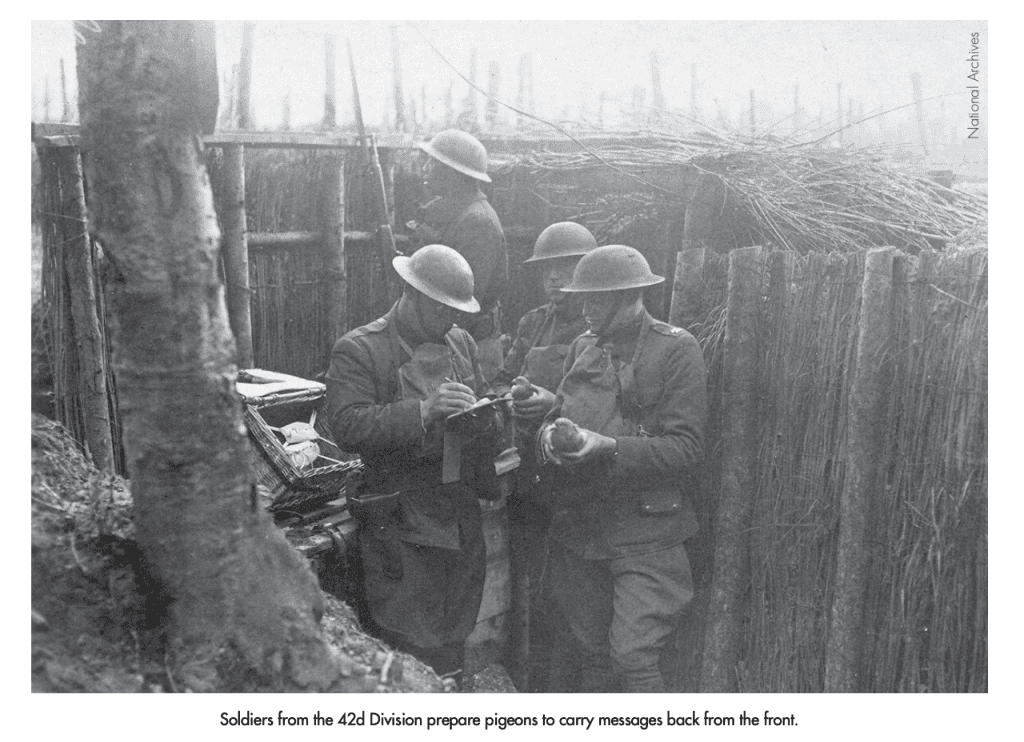 Soldiers from the 42d Division prepare pigeons to carry messages back from the front.